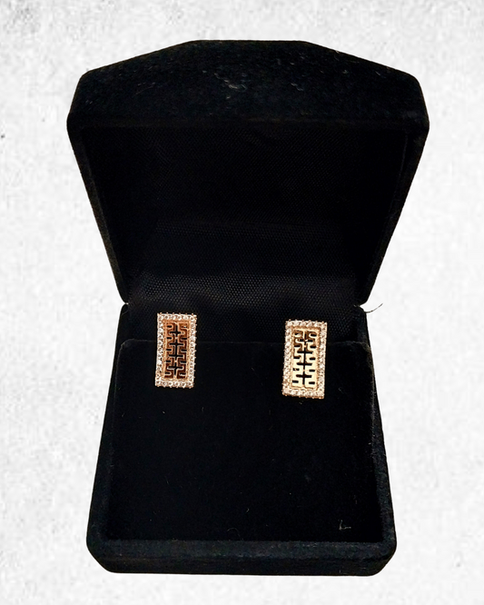 Artistic Design Earrings